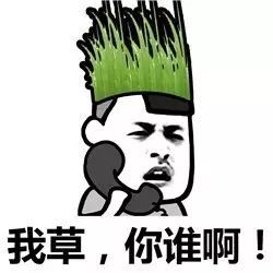 表情丨太阳和草的内涵对话动图变脸