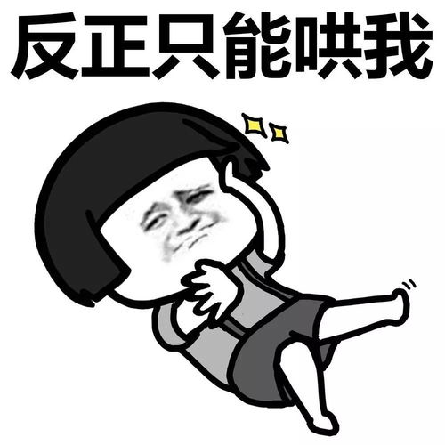 这是朕的天下了表情包主人