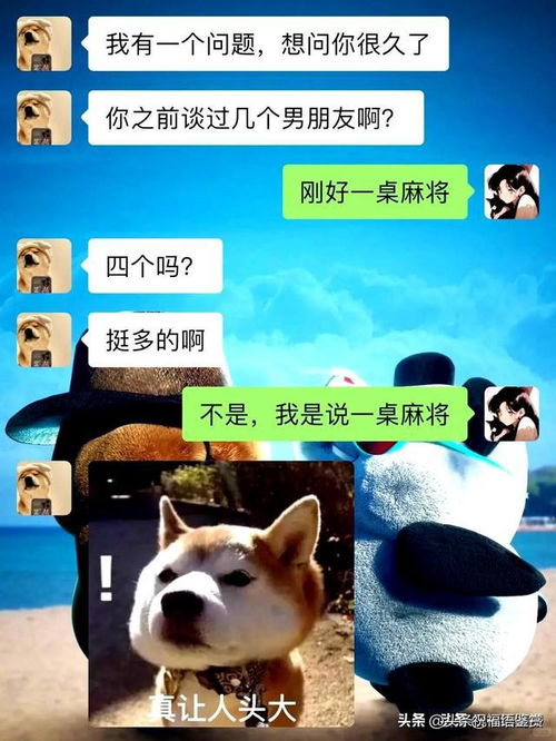 怎样提高聊天成功率聊天技巧分享笑出表情包,精彩又有趣