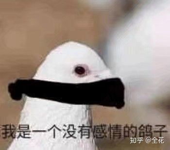 备注玉漏什么意思