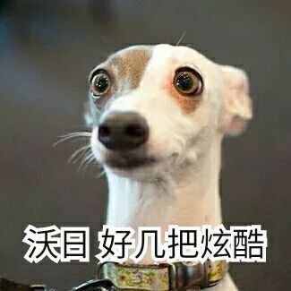 表情让苍天之到我不认输