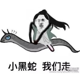 尉犁县召开固定资产投资项目培训会