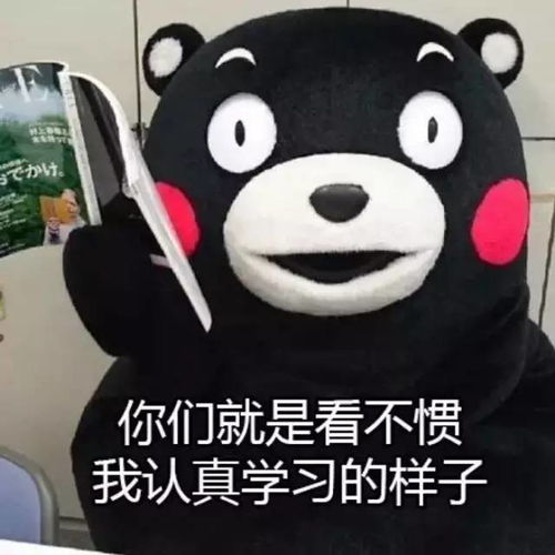 表情包界网红熊本酷ma萌竟然喺广州出没仲要带咗一班明星来