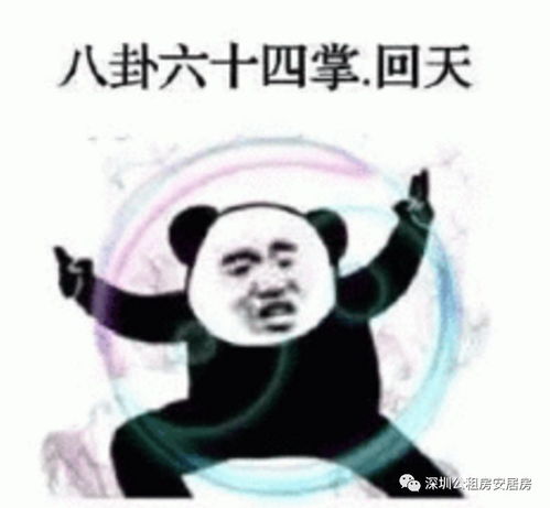 单身也可申请本次市级两苑坪河雅苑或光侨雅苑,来不及解释了,快上车我是认真的