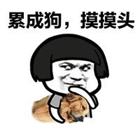 哄人专用表情包微信头像图片大全