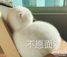 气的跺脚图片可爱表情包失去理想想要抱抱的表情包下载乐游网游戏下载