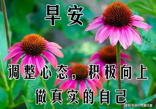 8张最新漂亮春天早上好问候动态鲜花表情图片春天早安问候图片带字带鲜花