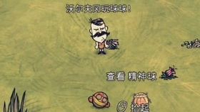 饥荒联机单刷龙蝇,然而日了狗了被狗抢了人头