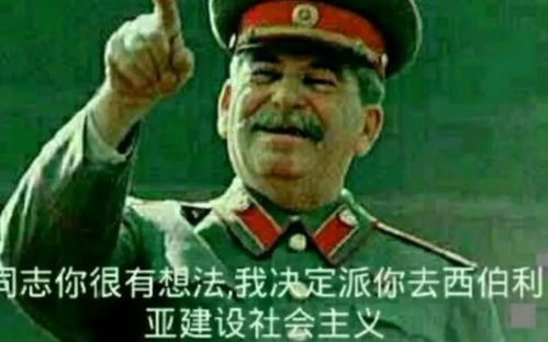 多部未华子表情包苏维埃
