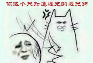 全套小白人表情包种植
