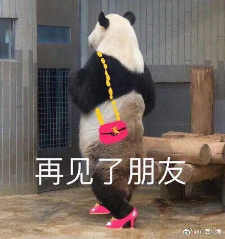 精神抖擞表情包熊猫眼入冬