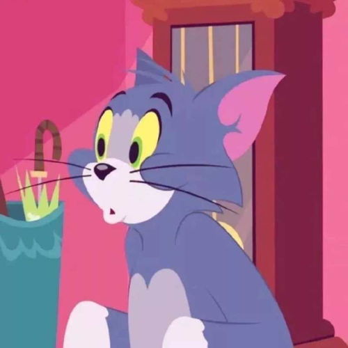 看电影表情包gif猫和老鼠