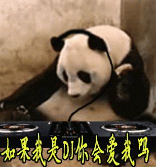 有没有类似的动态表情包圆滚滚的那种