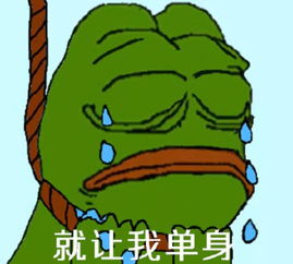 报考bcaba第四版还是第五版