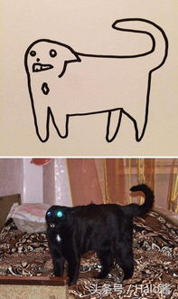 26个让老师直接给0分但看了对比图给100分的画猫图