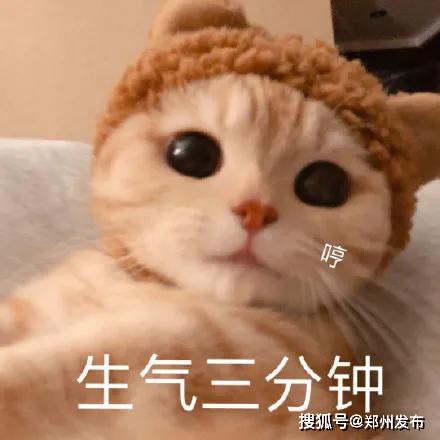 meme表情包动图一个人