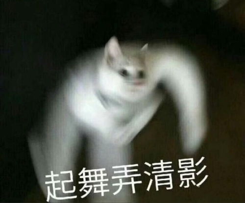 我的收藏