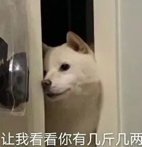 保时捷卖的好,因为便宜