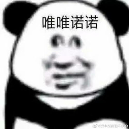 熊猫表情包你根本就不懂光