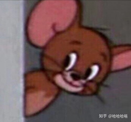 可以提供一些探头的可爱表情包嘛