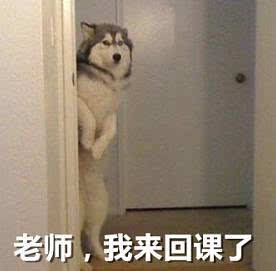 音乐系表情包,斗图就靠你了
