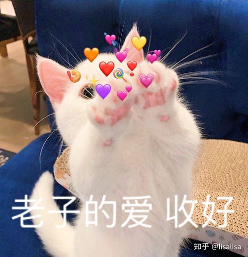 有适合和女生聊天的表情包吗