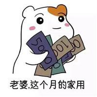 仓鼠夫君妻奴表情包老婆老婆老婆我们的心里只有老婆