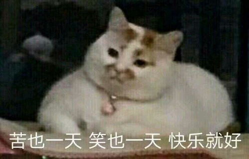 四川自考20192020年的相关改革或变化