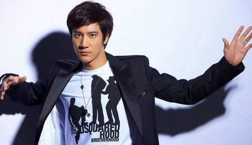 王力宏拒绝回应和道歉,拉黑多名网友,遭调侃聋的传人