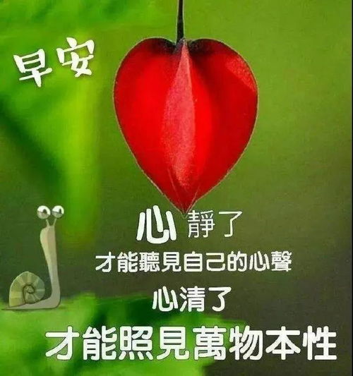 酷暑八月早安问候语每日更新早安问候简短