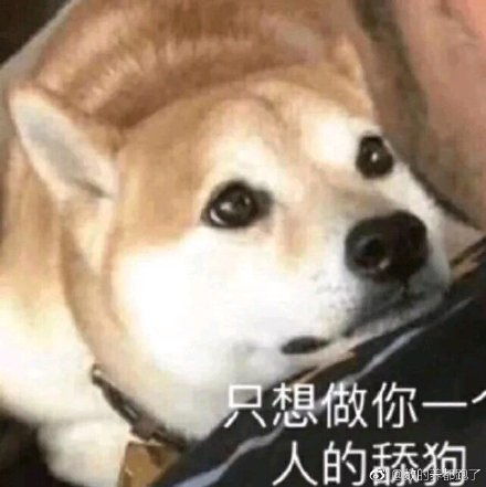 表情包心情紧张舔狗
