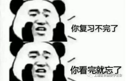 元旦来了,期末还远吗