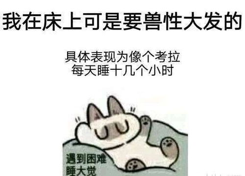 遇到困难睡大觉表情包