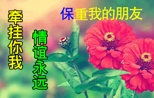 秋天唯美的早安问候语图片带字,漂亮好看的美女早上好祝福语图片表情动态