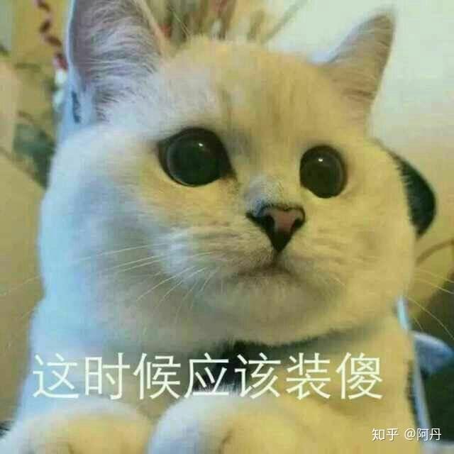 美妆电商app的社群如何做活动