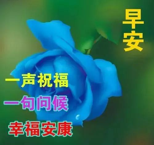 寒冷清晨发朋友圈的早上好漂亮图片早安动图,早安唯美动态表情祝福语图片