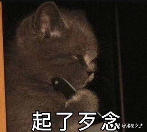 钟奇说耶的表情包碰见
