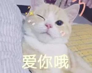 三月购物分享l励志做一个行走的种草机