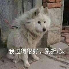 女生如何判断自己是否肌肉腿和腿弯