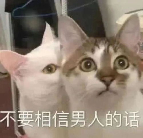 需要别人主动的星座,追ta时切忌玩欲擒故纵