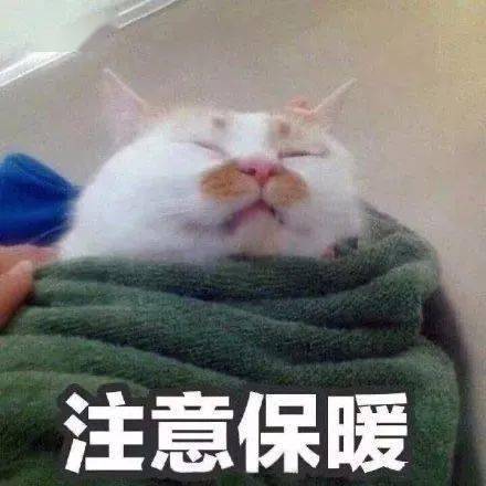 沙雕表情包