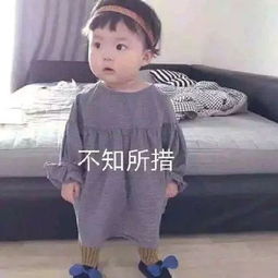 喂猪吃手表情包罗熙
