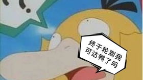 皮皮捕的憨憨神奇宝贝