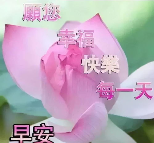 早安吉祥微笑的人生最美,朋友们,早安