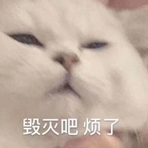 分享一波水太深一般人把握不住的沙雕表情包
