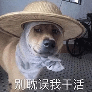 可爱沙雕表情包精神小狗表情包