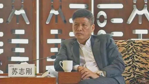 他当十年猪肉佬没赚钱,却靠2个游乐园赚千亿,为运动物包波音747