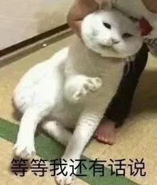 近期斗图表情包精选2018918
