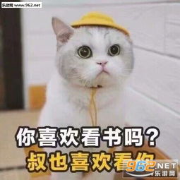 可爱表情包图片无字土味情话
