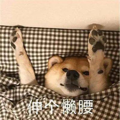 天冷可爱表情包不想起床,不想洗脸,不想上班